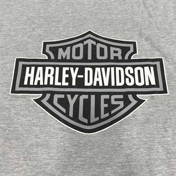 Harley-Davidson Vintage Men’s Grey T-Shirt - 4XL - Picture 3 of 7